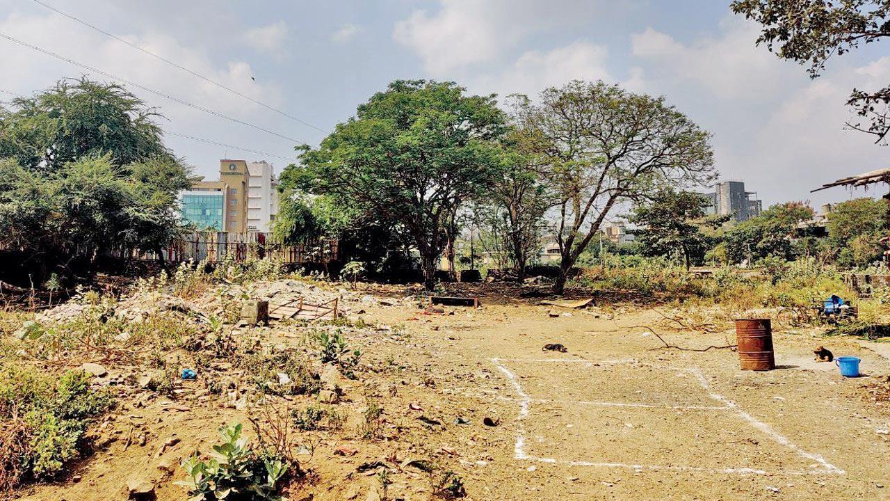 In a first, BMC to create urban forest with over 139 types of trees at Marol 