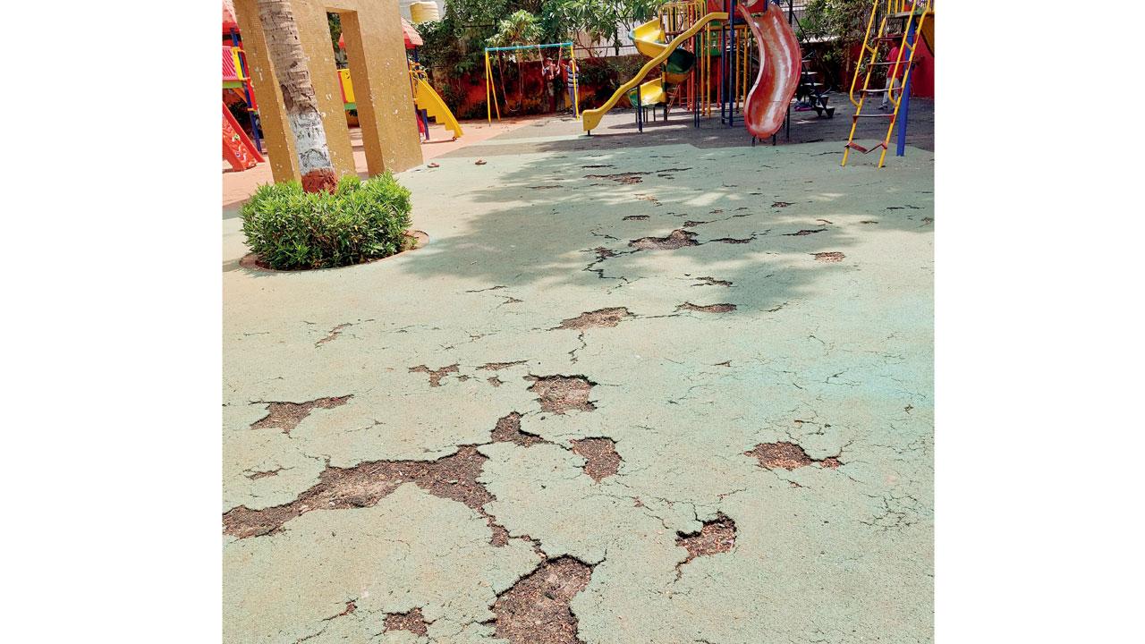 The cracked turf at Narali Baug