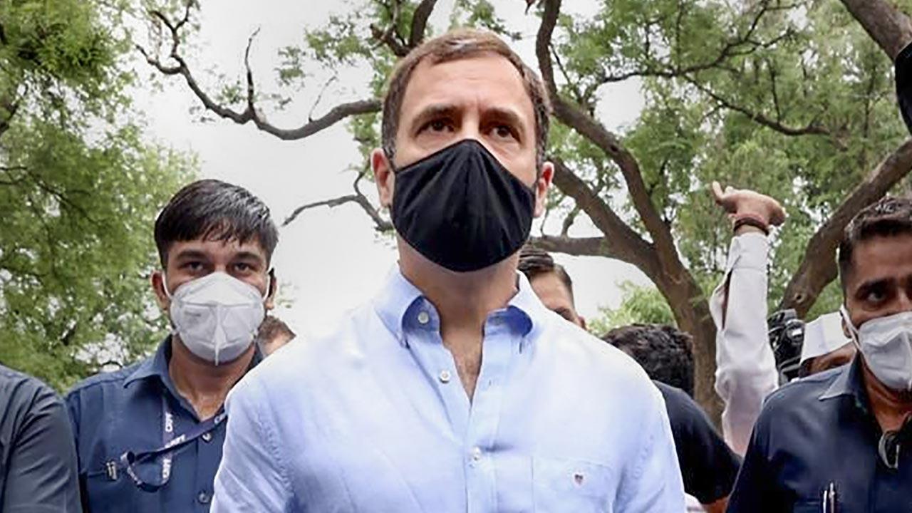 Congress MPs detained in Delhi while protesting Rahul Gandhi's appearance before ED released after 11 hrs