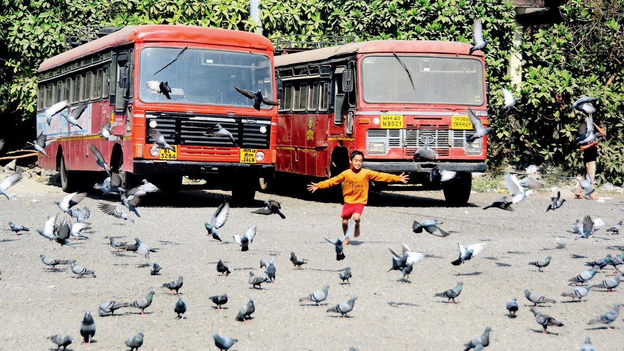 This Ganpati festival, 2,500 more ST buses to be made available