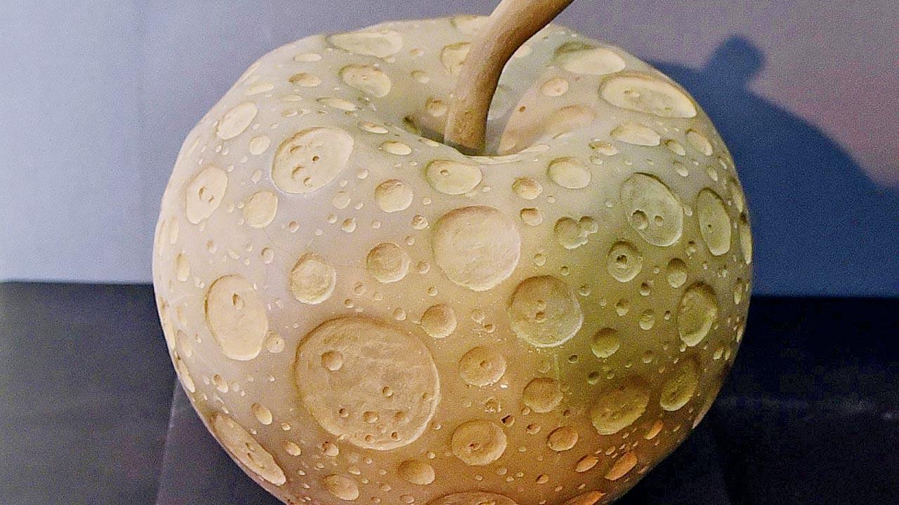 With craters on the surface of the fruit, Newton's apple postulates that the moon and the apple have equal status in Newton's theory of gravitation