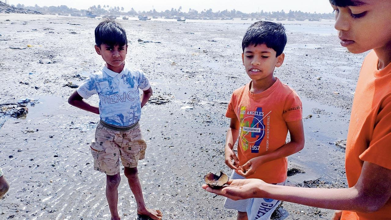 A boy from the fishing community holds a crab in a coconut shell at the Dahanu creek, Diva Dandi. In its report, Healthy Energy Initiative (India) had mentioned that the increase in pollution levels is already affecting the fish catch. “The release of hot water from the thermal power plant into the Dahanu creek has adversely affected the fish, crabs, lobster and prawn population in the river,” the report states. PICs courtesy/Healthy Energy Initiative (India)