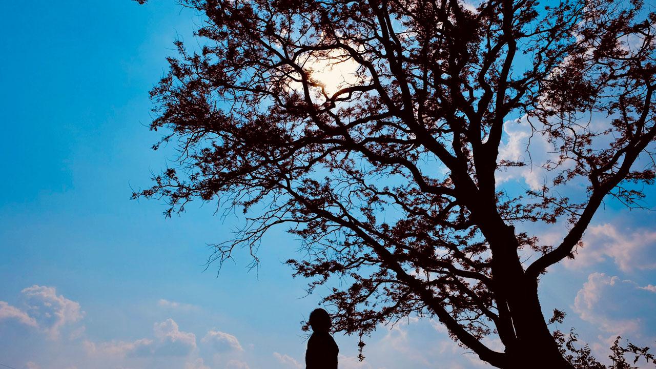 Khadaw and others would sit under a tree for hours daily, making calls and sending messages. Representation pic