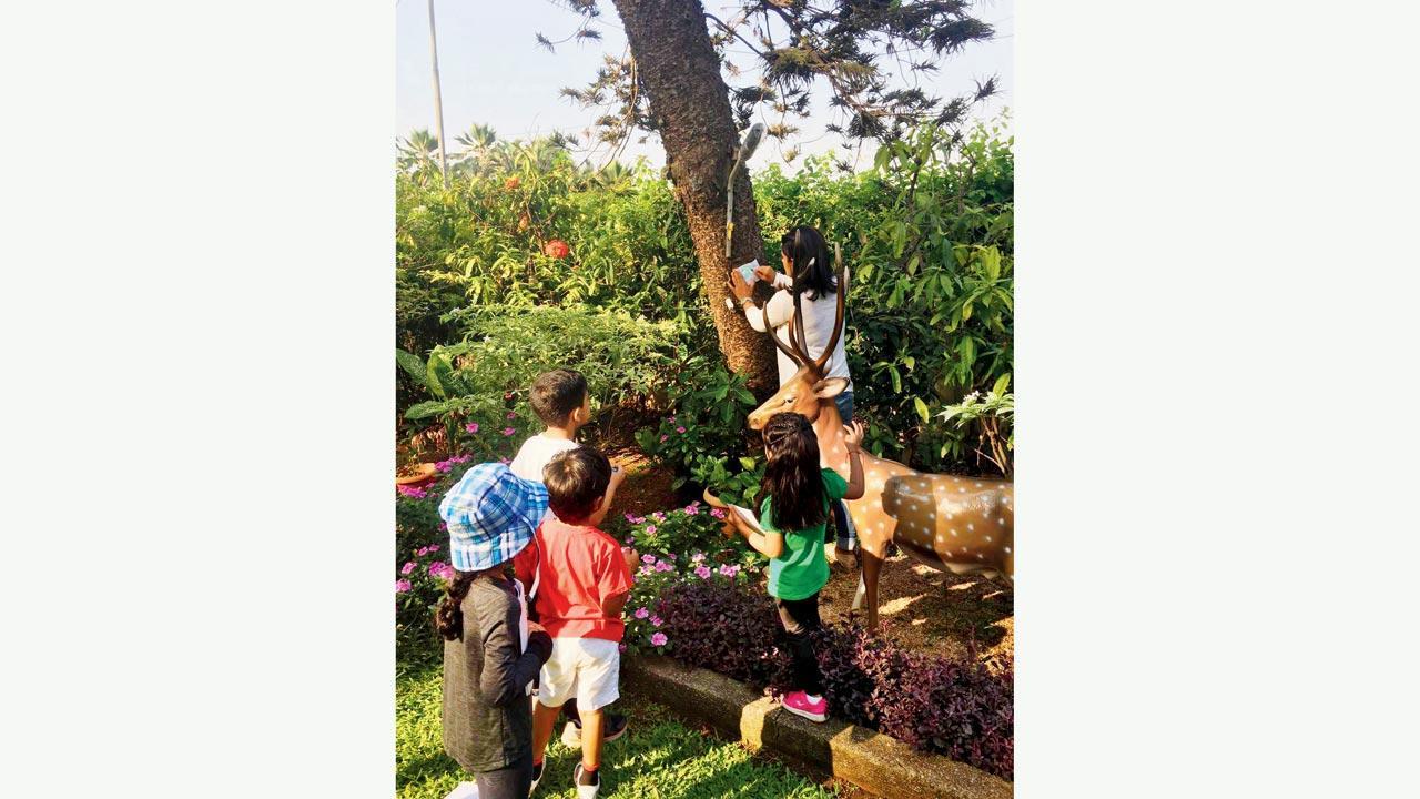 Learn about Mumbai's trees on a guided walk this weekend