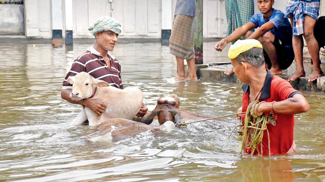 Assam floods, landslides claim 62 lives so far; nearly 31 lakh affected across 32 districts