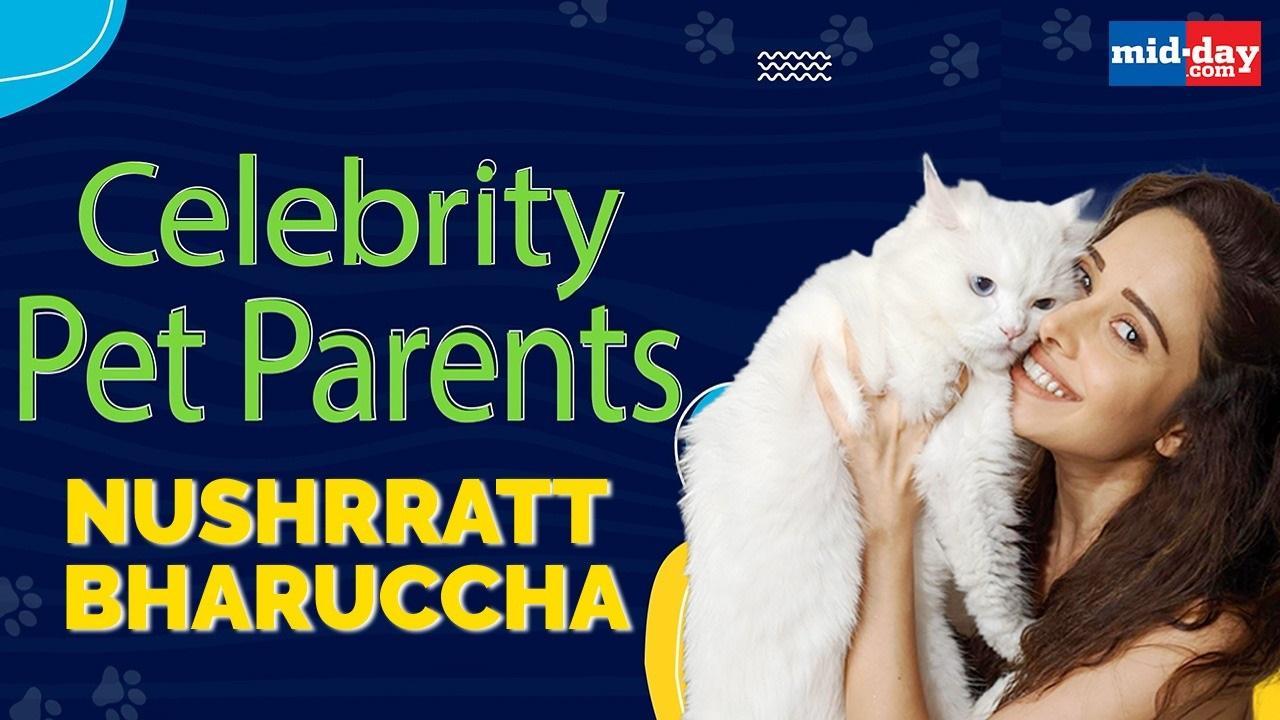 Nushrratt Bharuccha: My Cat Is Convinced The TV Pointer Is A Mouse