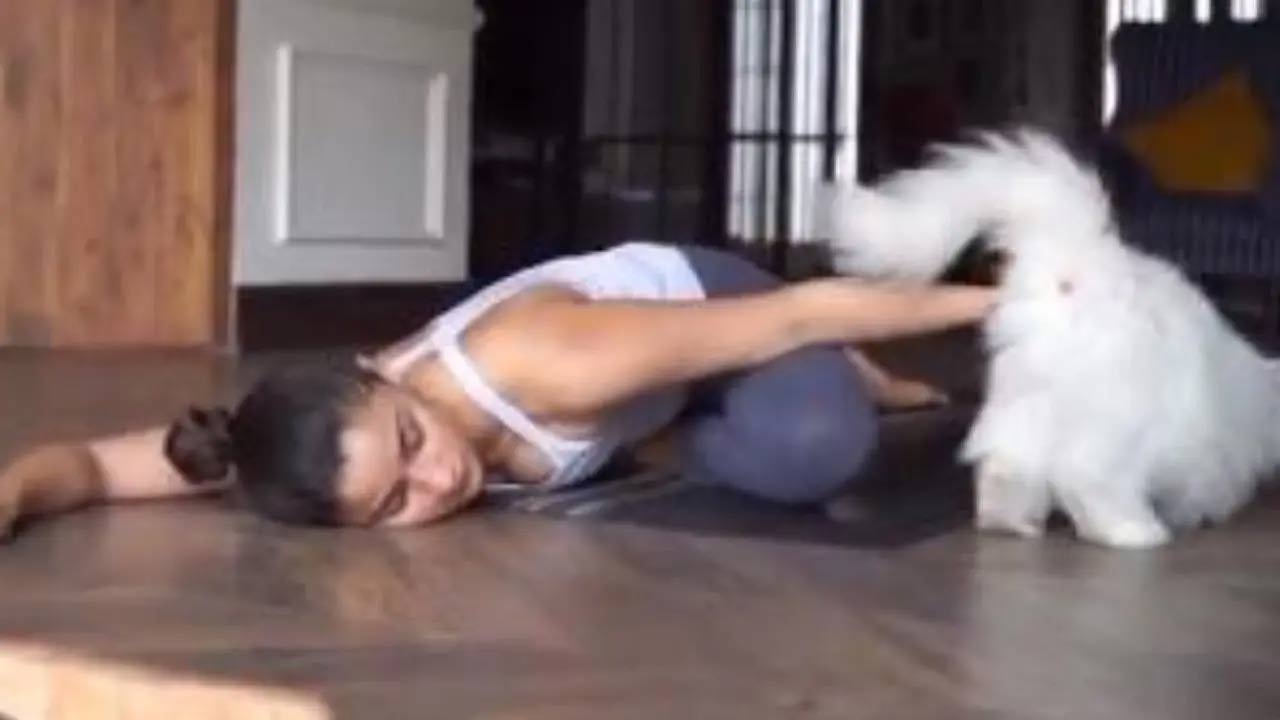 On the occasion of International Yoga Day, Bollywood star Alia Bhatt shared a cute video with her yoga partner Edward doing Yoga and encouraging netizens to do the same on her social media handle. Read the full story here