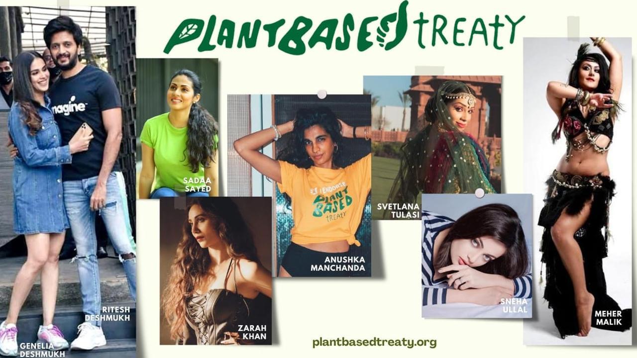 Several indian celebrities endorse the plant based treaty- a global campaign to resolve the climate crisis