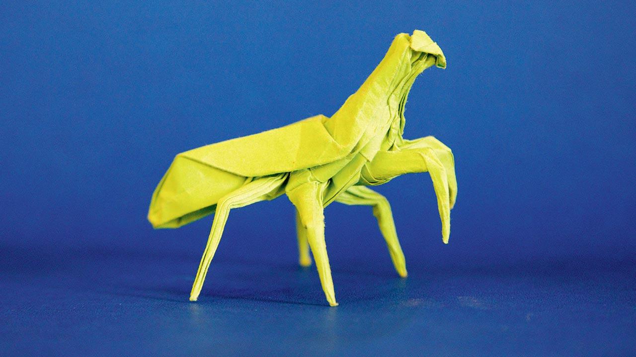 Grasshopper, crease pattern of Robert J Lang. Pic courtesy/The Curator Mag