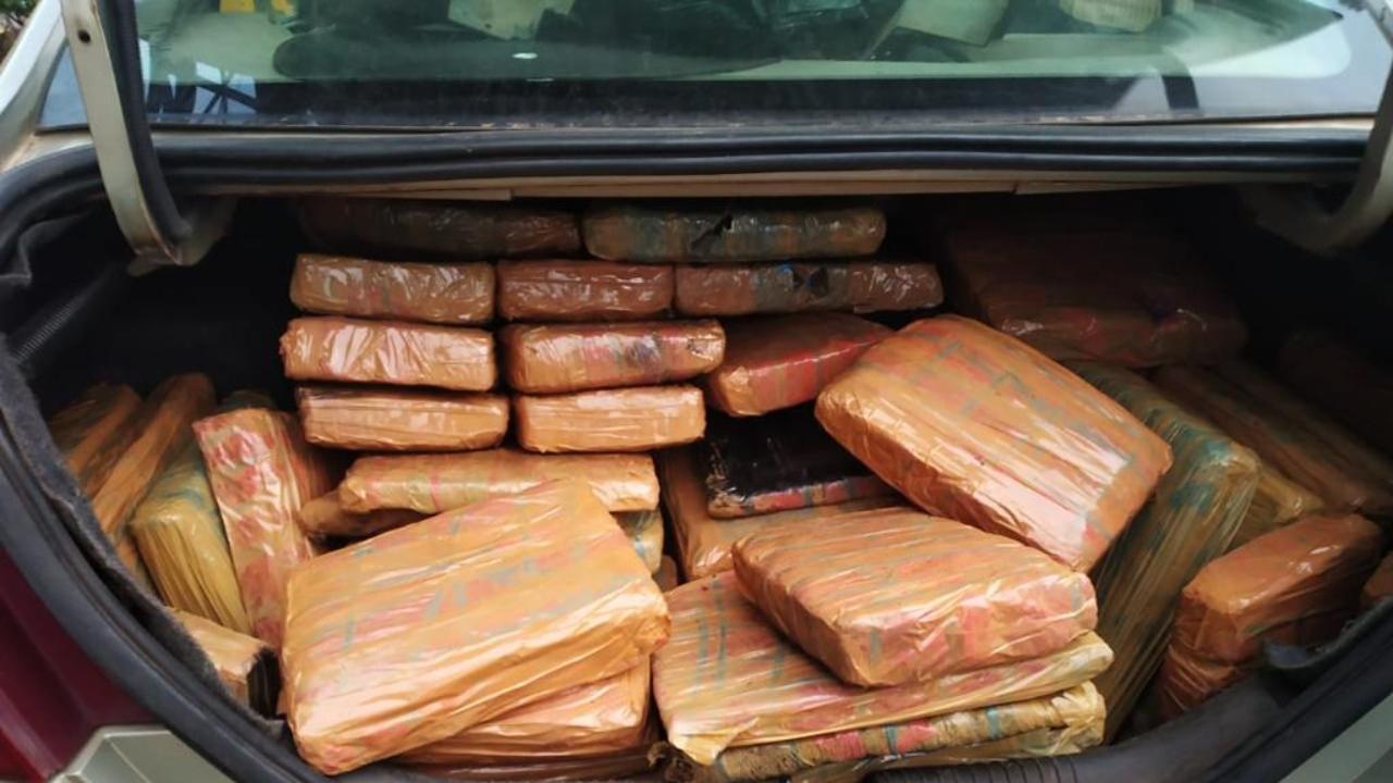 Mumbai: NCB seizes 286 kg of high grade ganja, two held