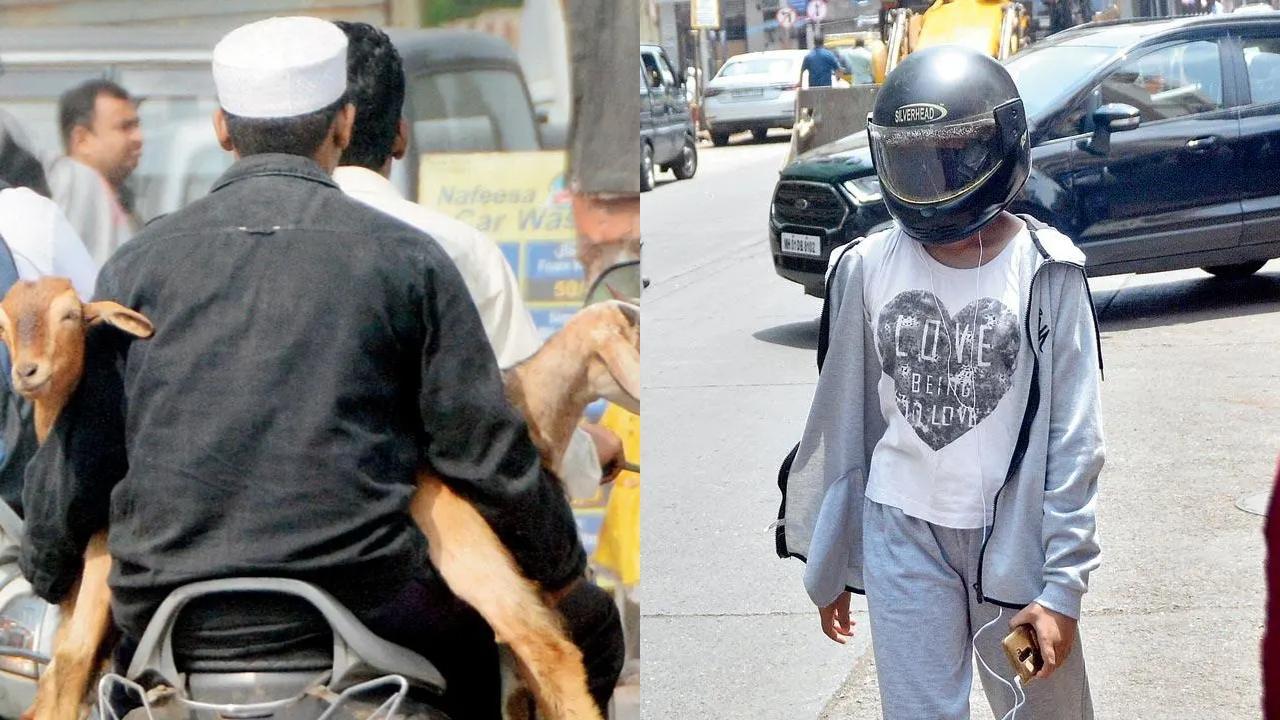 From goats riding on bike to pedestrian wearing helmet, Mumbai's offbeat moments