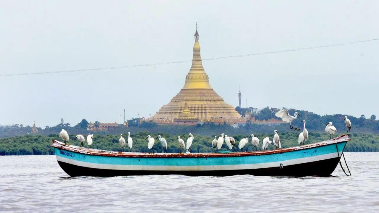 On a wing and a prayer: Cranes settle on a fishing boat against the background of the Global Vipassana Pagoda near Marve Beach at Malad. Pic/Shadab Khan