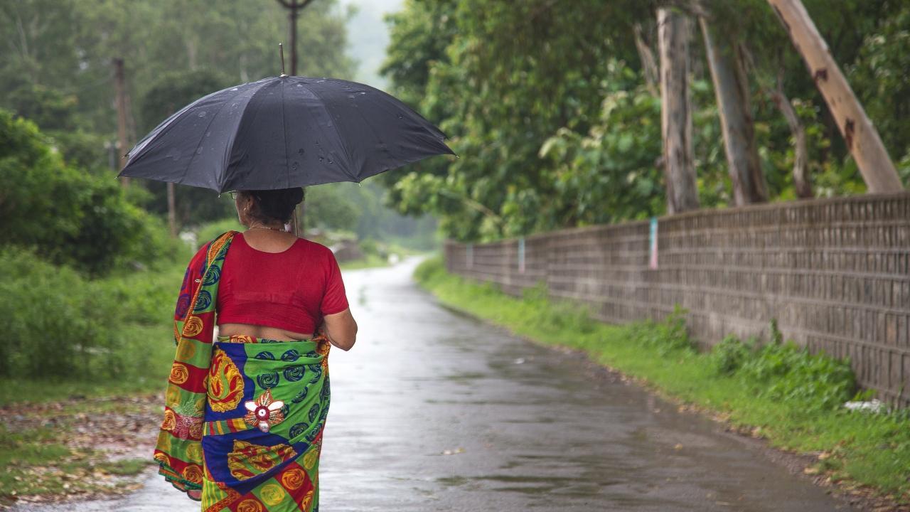 Southwest monsoon advances further to parts of Maharashtra; light to moderate rain likely in Mumbai: IMD