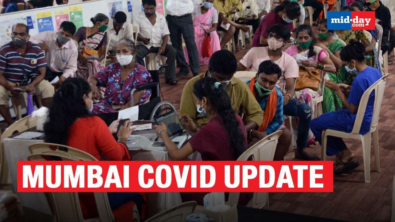 Mumbai Sees 1,803 New Covid-19 Cases | Deaths Jump To 7 In 12 Days