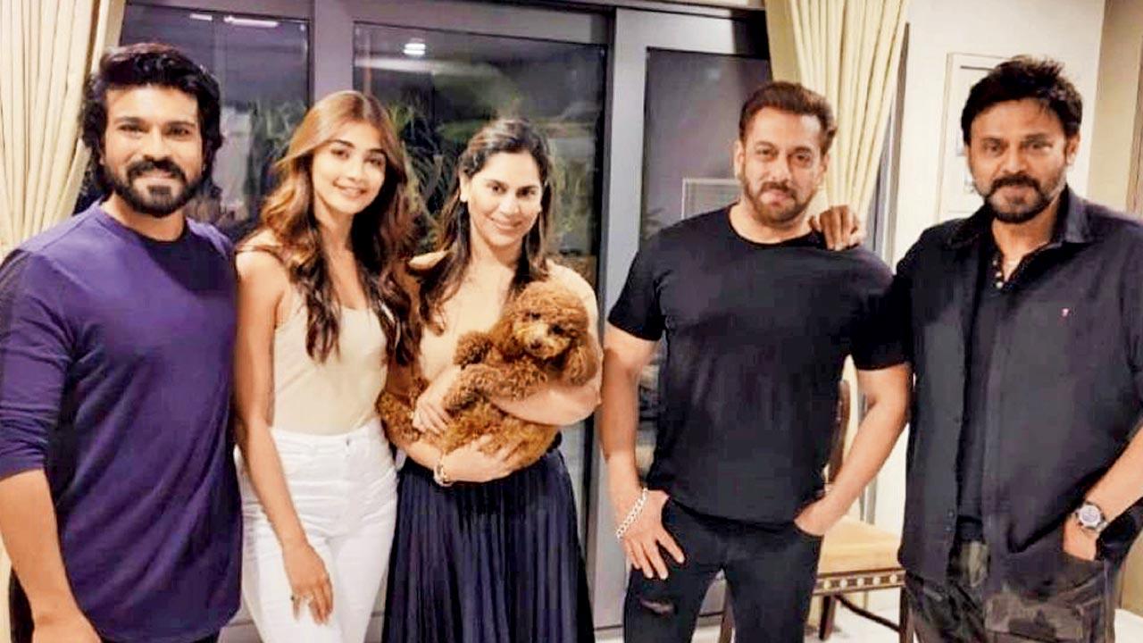 Party continues for Salman 