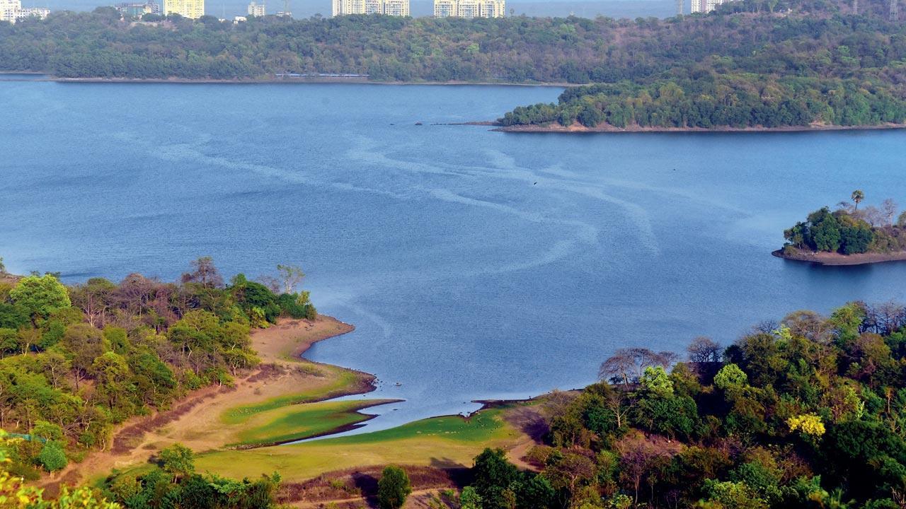 Mumbai: Get set for a 10 per cent water cut from June 27