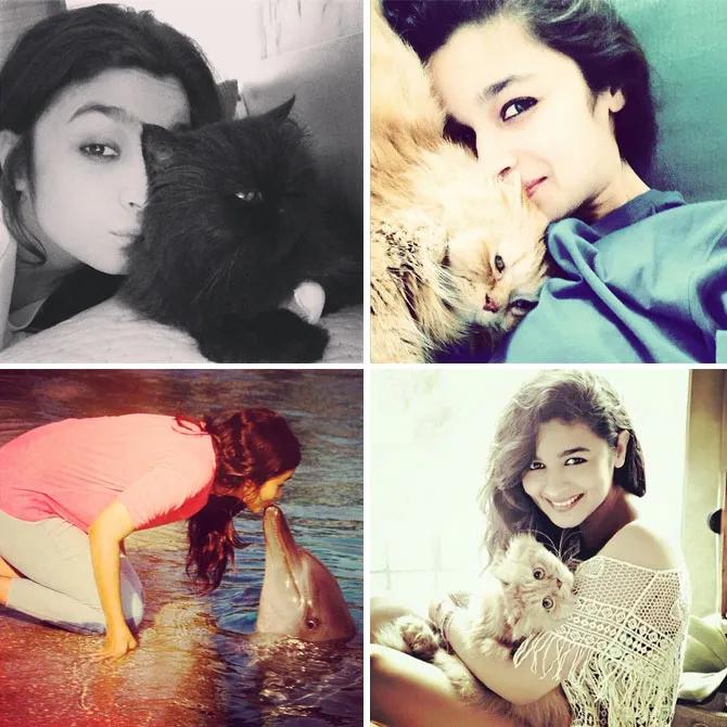 Alia Bhatt's Instagram photos speak of her love for pets and animals. Her adorable selfies with her cat are quite adorable. Picture courtesy: Alia Bhatt's Instagram account @aliaabhatt