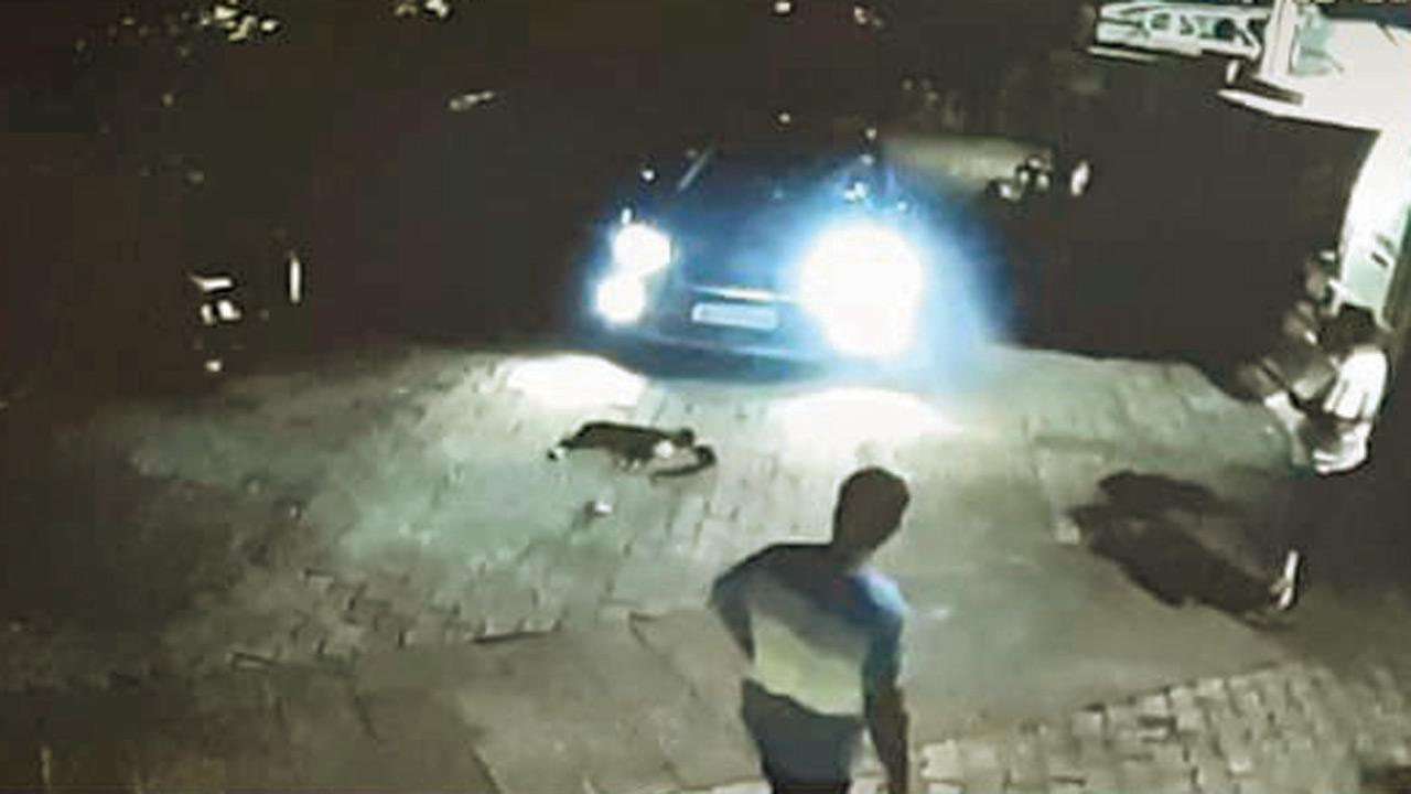 Businessman runs over pup at posh Kandivli society