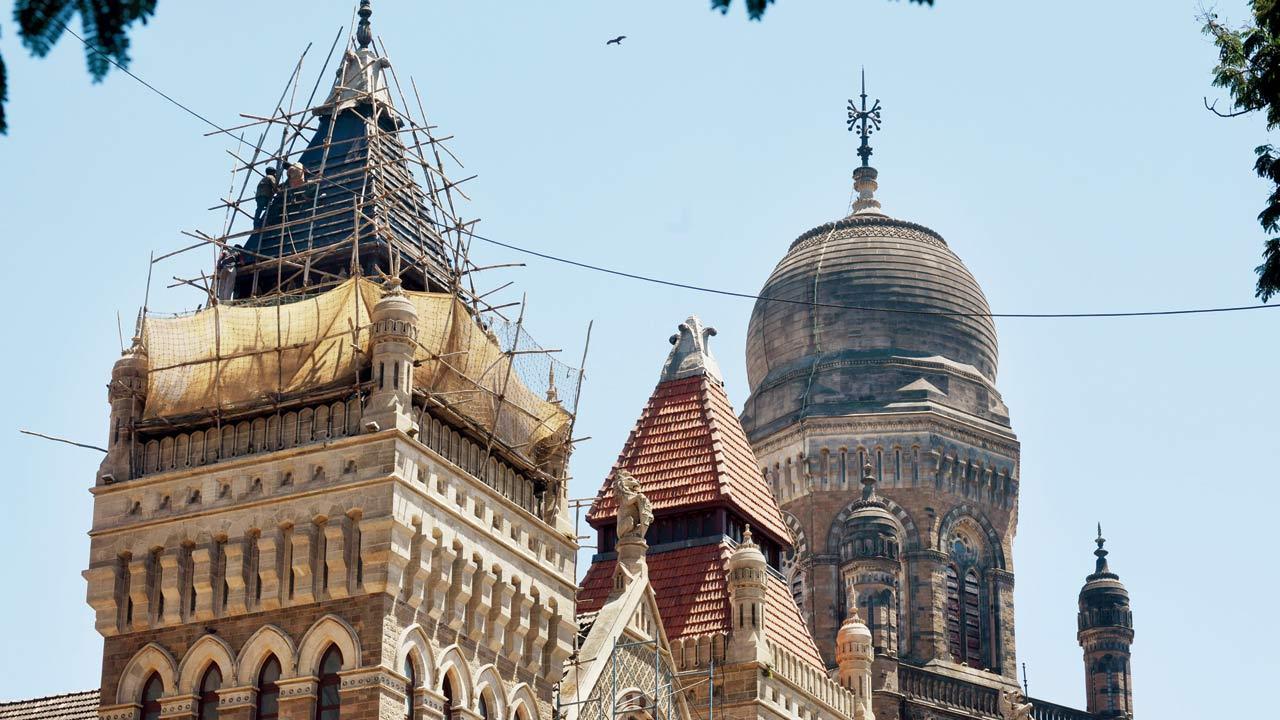 BMC’s fixed deposits have grown by 18 per cent