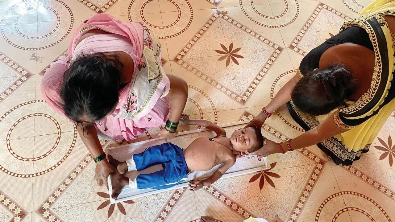 District collectors must survey Maha areas where child marriage, malnutrition deaths are prevalent: HC
