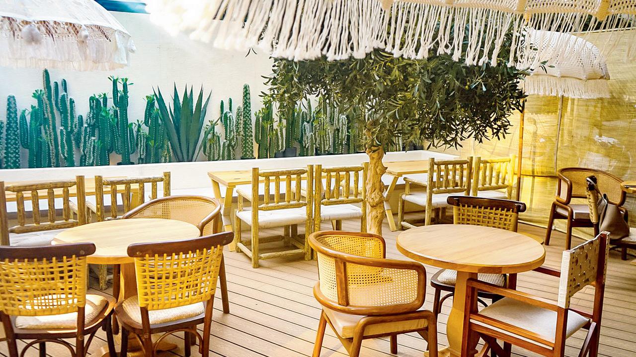 Binge sports a bohemian wooden decor amid a cacti grove