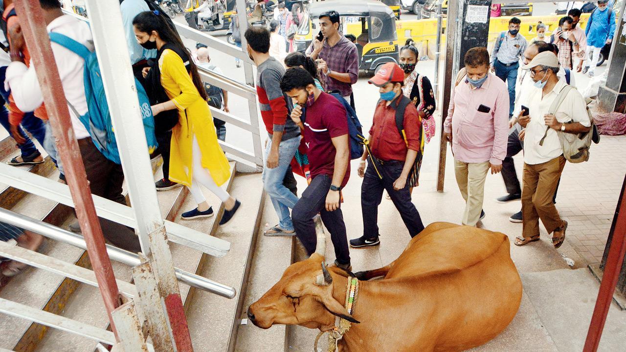 Mumbai Diary: Saturday Dossier
