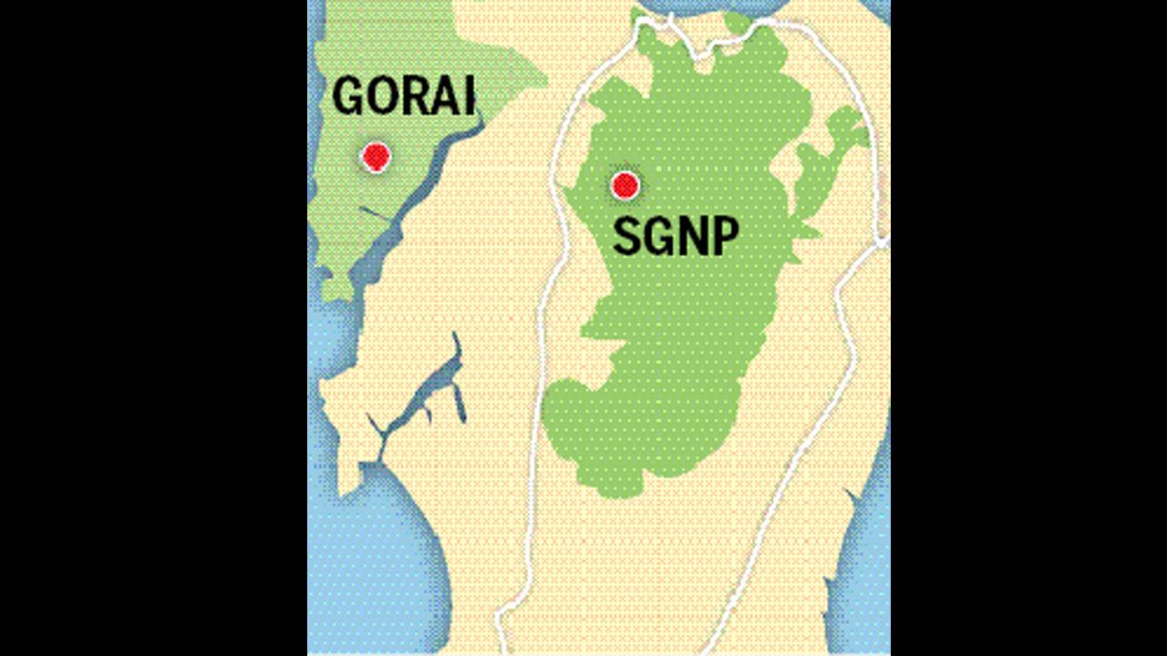 Graphic/Shailendra Mirgal