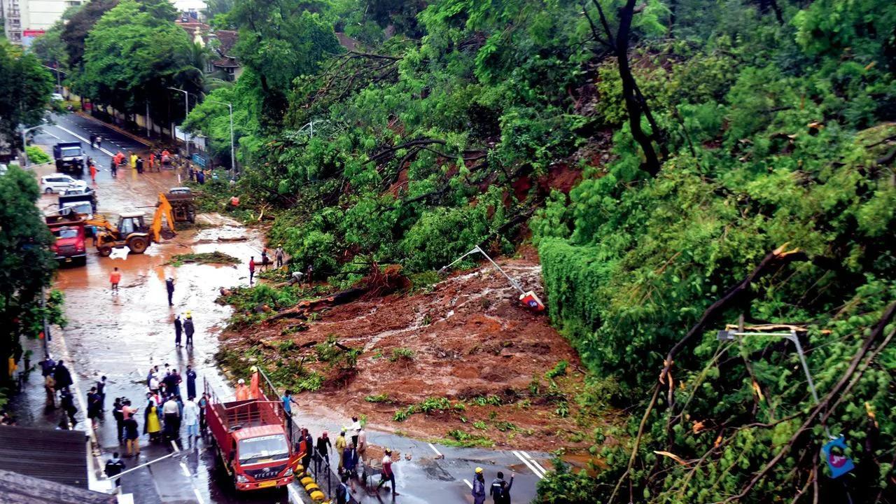 Extreme weather events in 2021 caused maximum deaths in Maha, Odisha, MP: IMD data