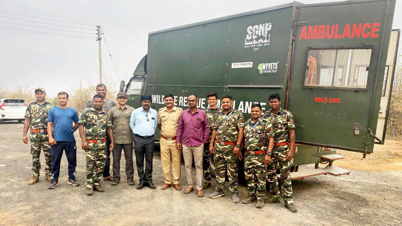 Dr Shardul Salvi and the SGNP team monitored her during the journey. Pic/SGNP