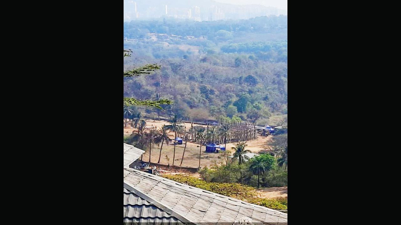 Around 10 acres of land has been cleared, as per the allegation