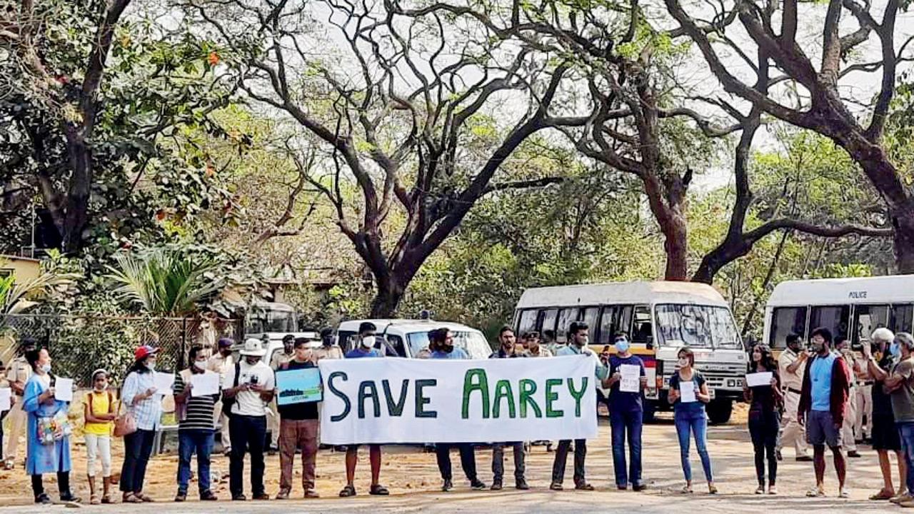 Protest at Aarey. Pic/Facebook