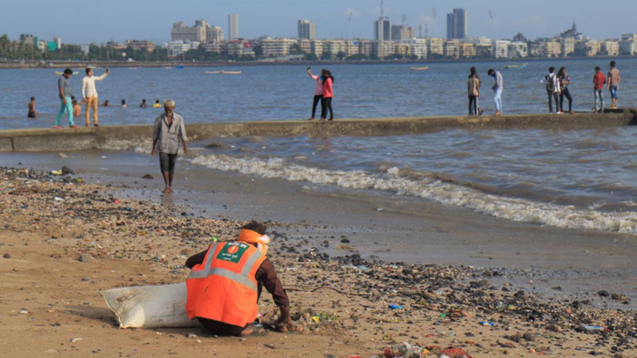 Regional collaborations play critical role in conserving marine life and tracking climate change: UNEP report