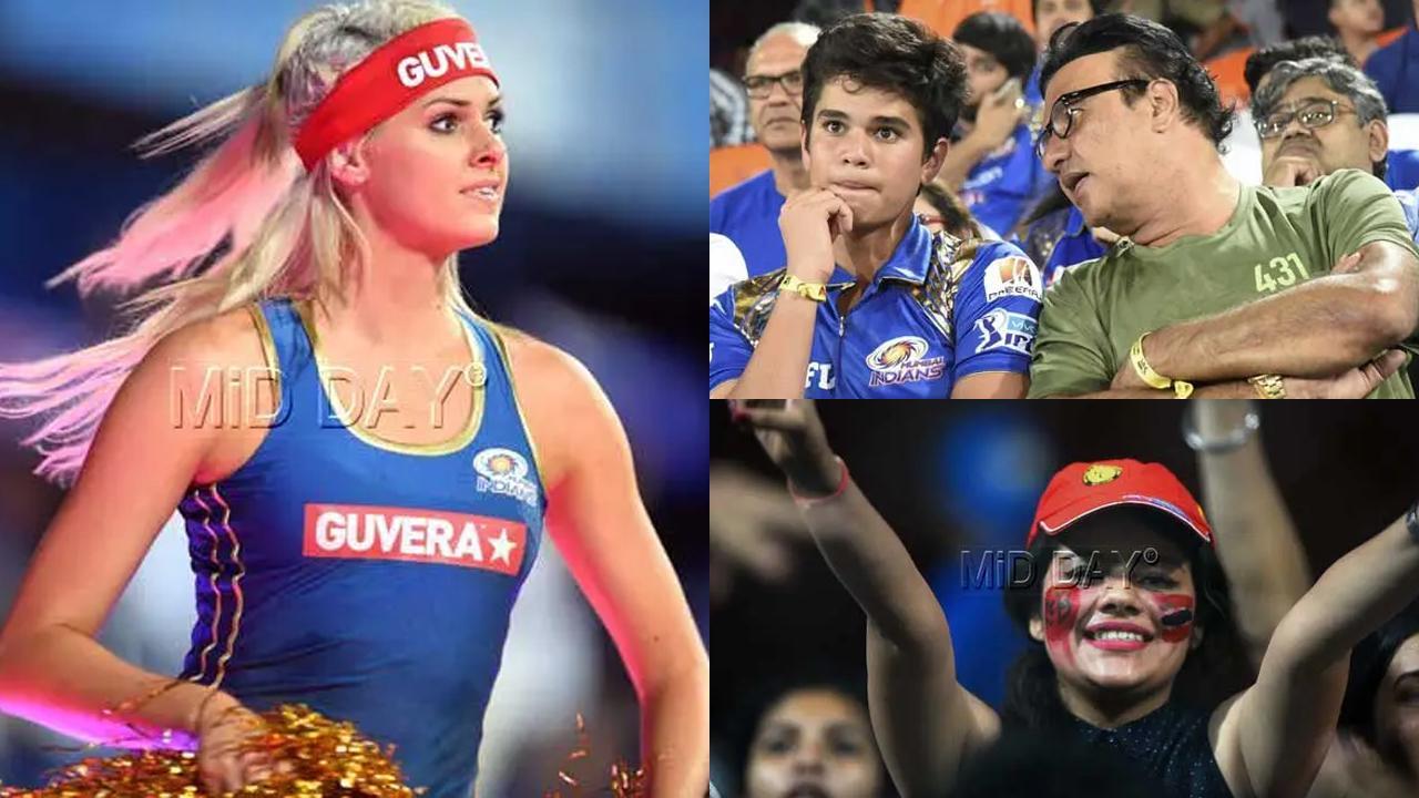 Ipl Chiyer Girl Sex - IPL flashback: About glamourous cheerleaders, Bollywood celebs and fans