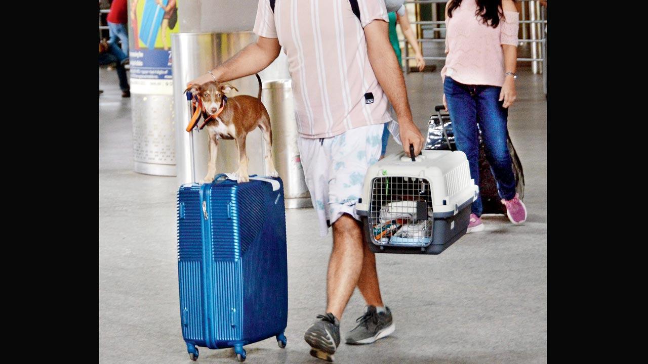 Mumbai Diary: Monday Dossier
