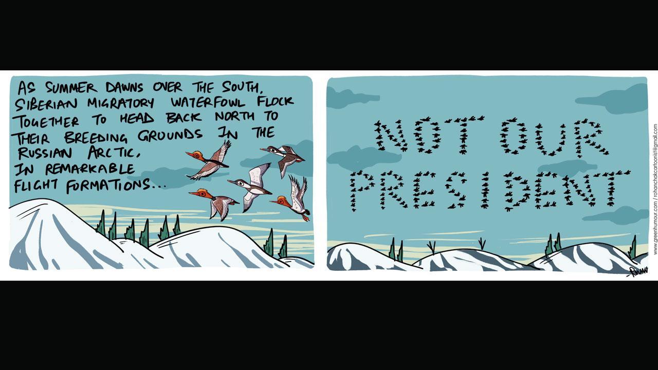 Green Humour: Comic Strip By Rohan Chakravarty