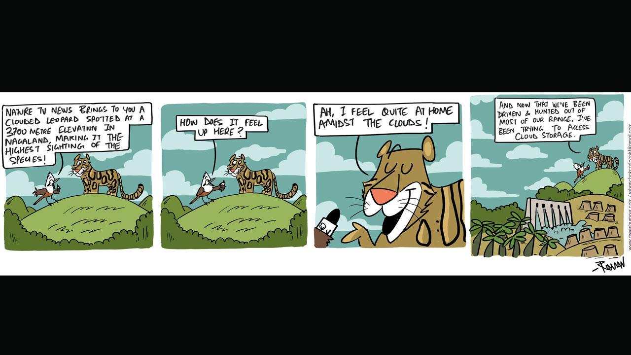 Green Humour: Comic Strip By Rohan Chakravarty