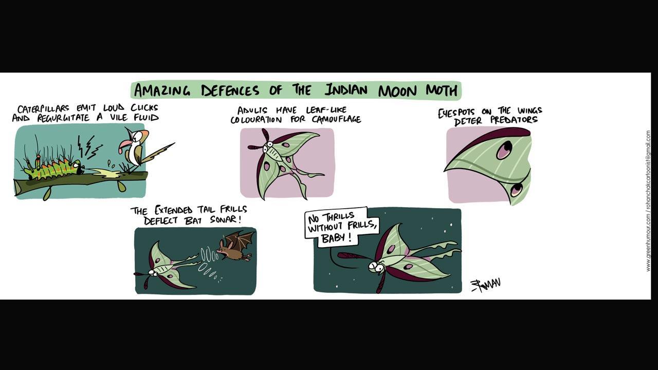 Green Humour: Comic Strip By Rohan Chakravarty