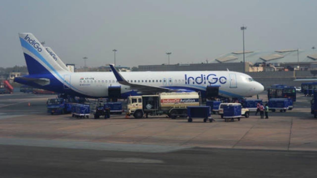 Indigo flight brings back 211 students from Ukraine; MoS Rajeev Chandrasekhar welcomes them