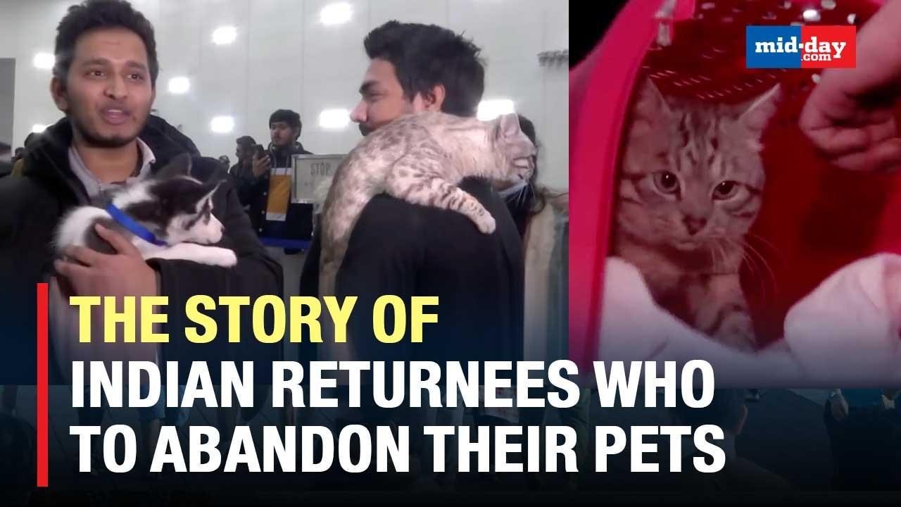 The Story Of Indian Returnees Who Refused To Leave Ukraine Without Their Pets