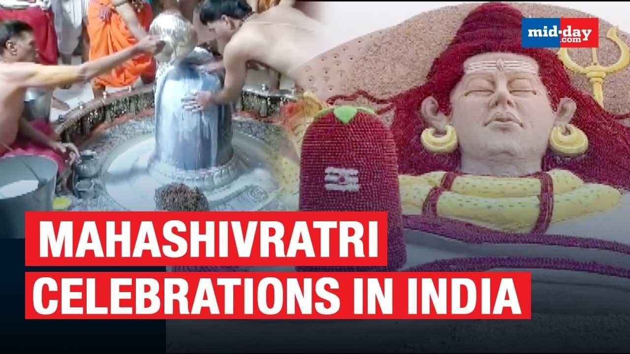 How Are People Celebrating Mahashivratri In India