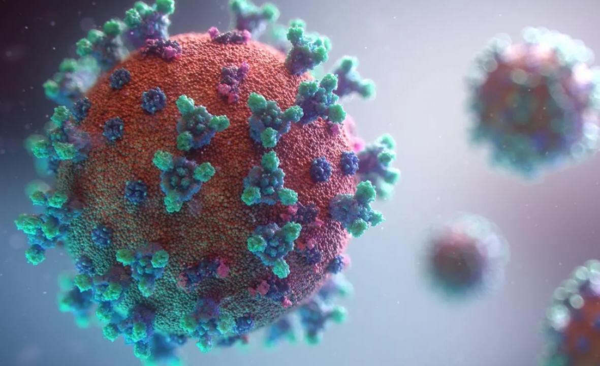 Bill giving relief to pandemic-hit industries, traders passed in Maharashtra Assembly