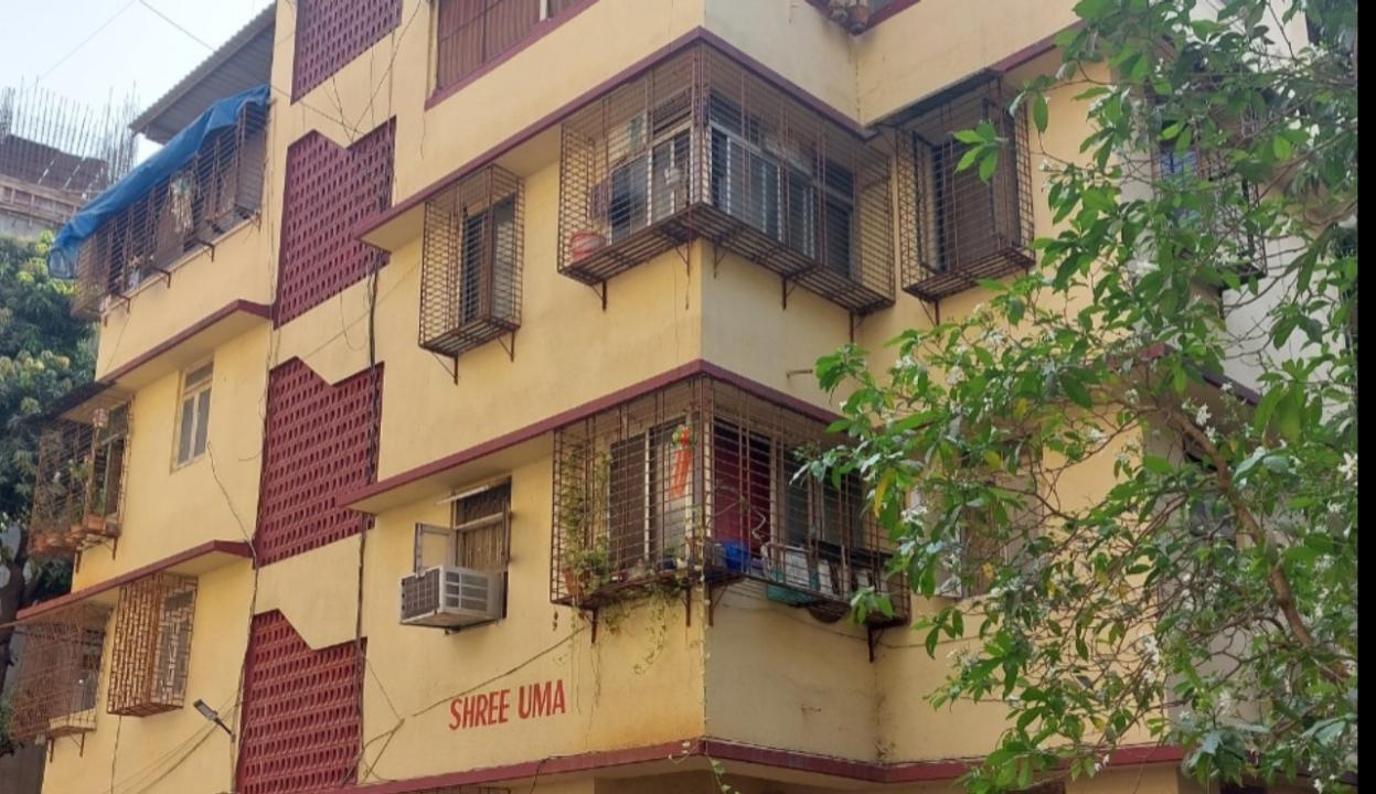 Elderly woman, nephew found hanging in Mulund flat; suicide notes recovered