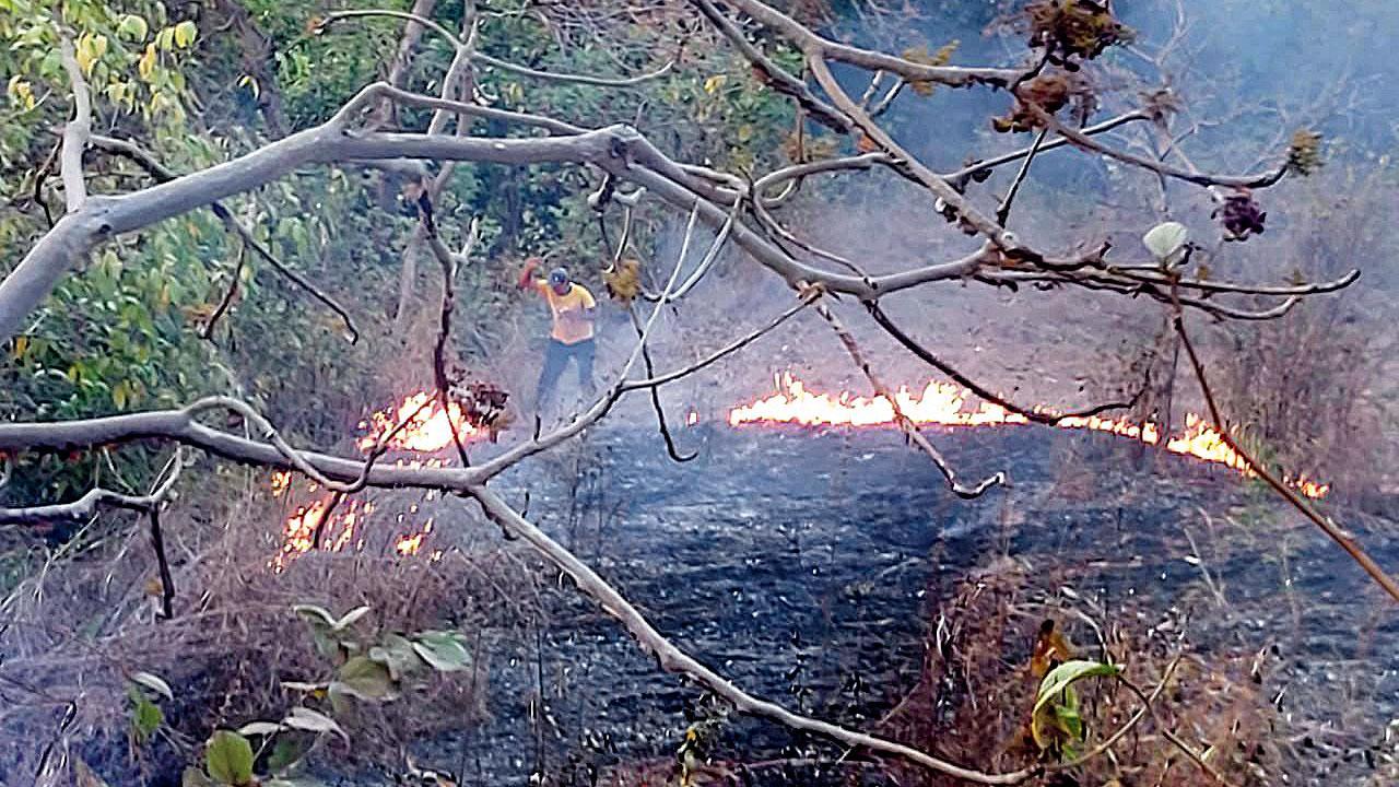 Must restart defunct fire station at Aarey, says NGO