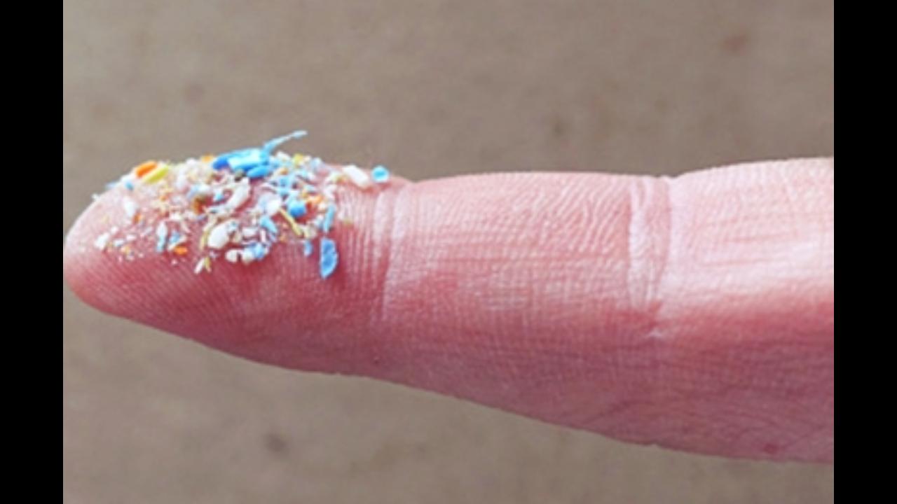 Microplastics can easily enter human bloodstream in detectable levels: Study