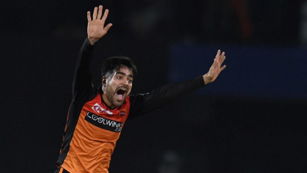 IPL 2022: Conditions not a worry for Gujarat Titans' Rashid Khan