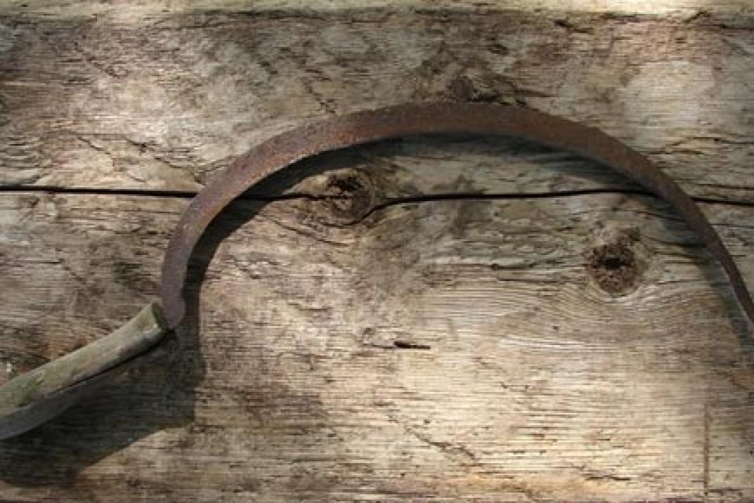 Maharashtra: Man attacks woman with sickle in Palghar