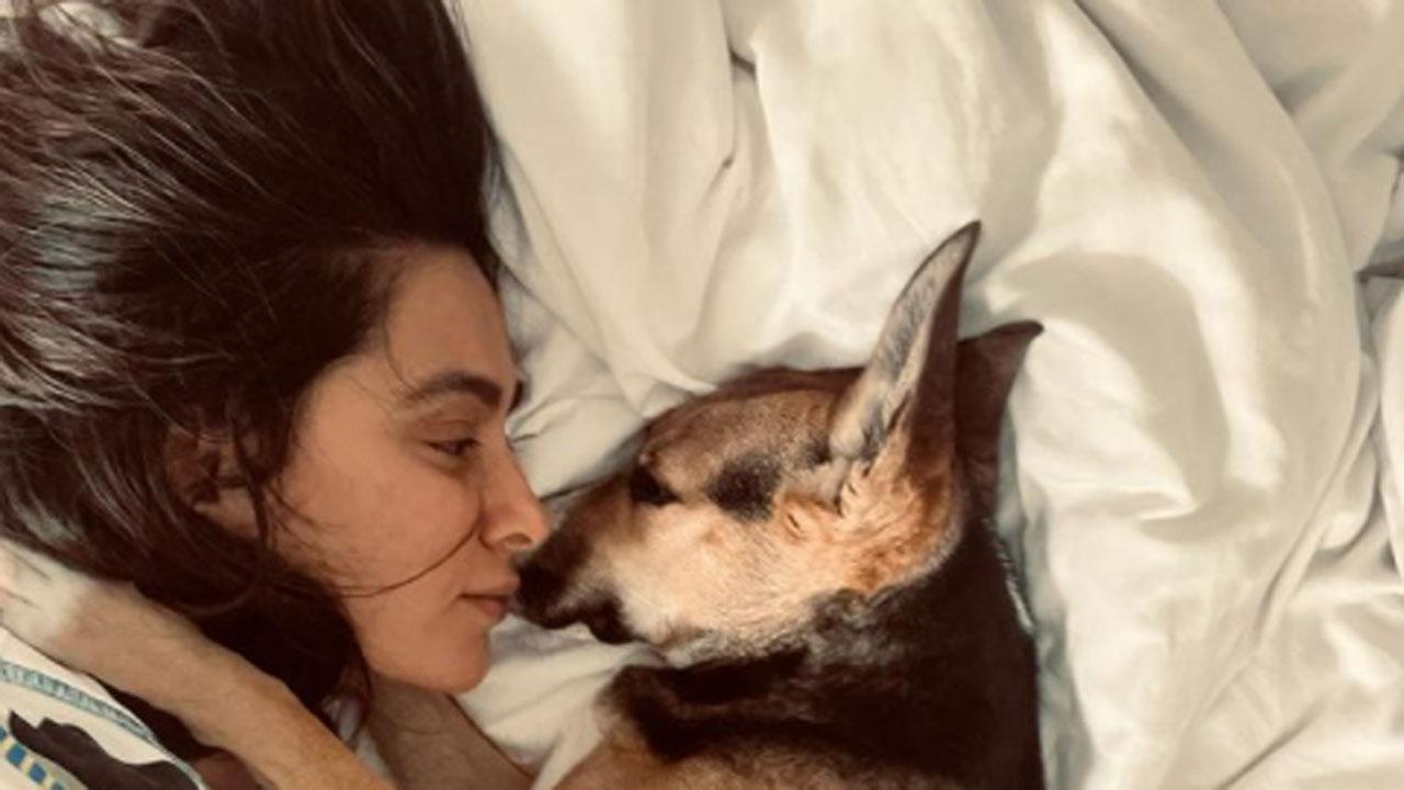Shibani Dandekar posts adorable picture with pet dog 'Tyson Akhtar'