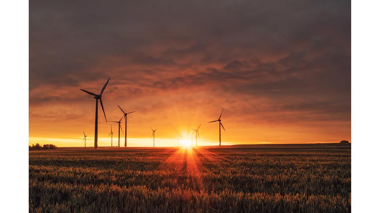 5 Ways to Make Your Business More Environmentally Friendly