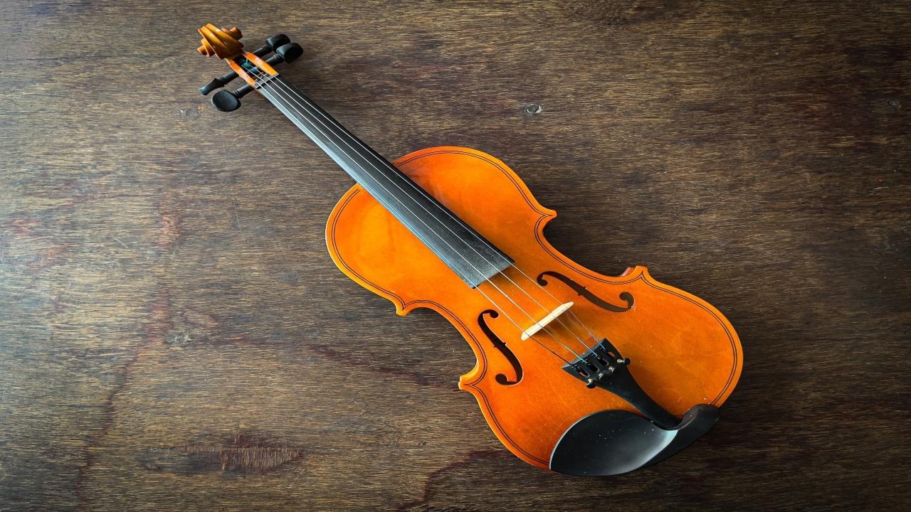 Watch video: Ukrainian girl playing violin for refugees will melt your heart