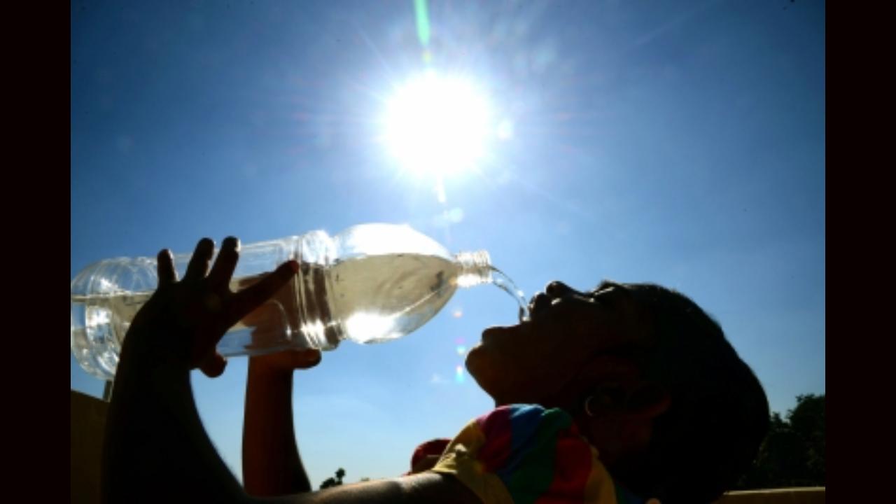 Portugal mulls over rationing water amid extreme drought conditions across the country